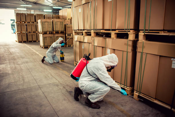Wasp Removal Services in Phoenix, OR