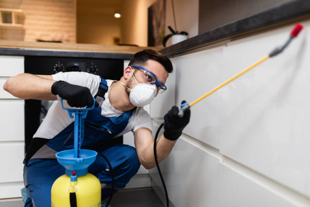 Best Best Pest Control Companies  in Phoenix, OR