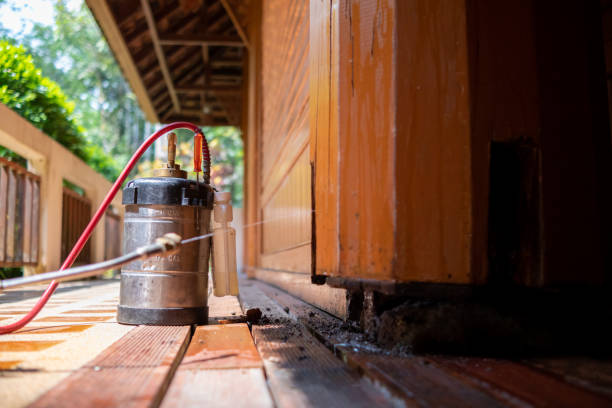 Best Pest Prevention Services  in Phoenix, OR