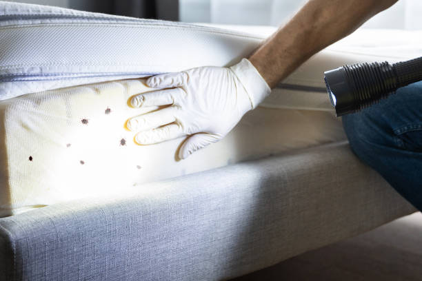 Best Commercial Pest Control Services  in Phoenix, OR