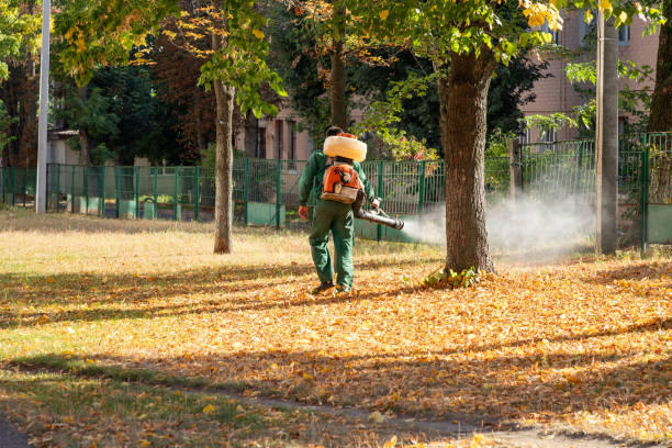 Trusted Phoenix, OR Pest Control Experts
