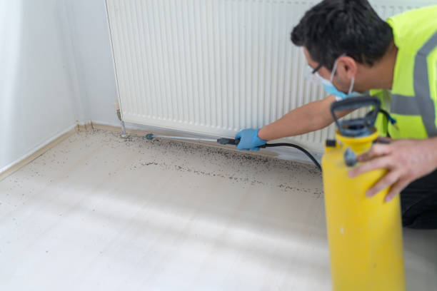 Best Rat Extermination Near Me  in Phoenix, OR