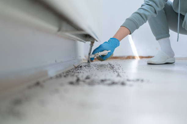 Best Flea Control Services  in Phoenix, OR