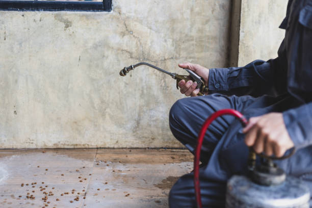 Best Affordable Pest Control Services  in Phoenix, OR